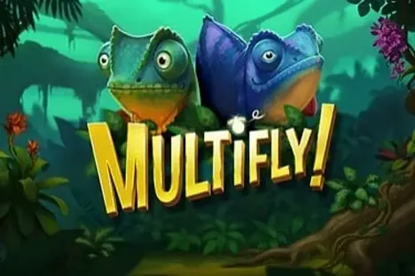 MultiFly! Multimax – Spielmotiv